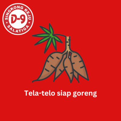 Tela-Telo Frozen